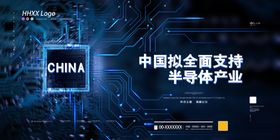 中国芯片