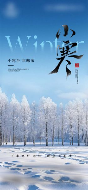 小寒大寒冬至创意节气海报