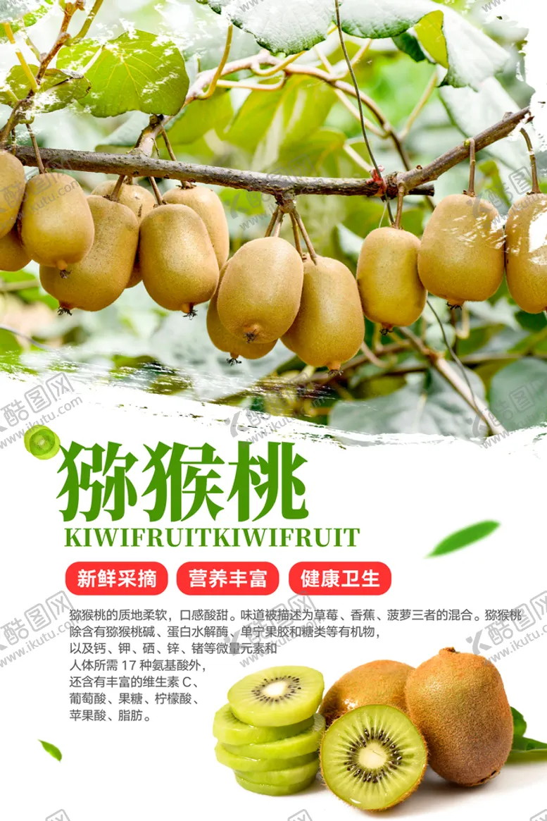 编号：38714009202201446023【酷图网】源文件下载-猕猴桃海报
