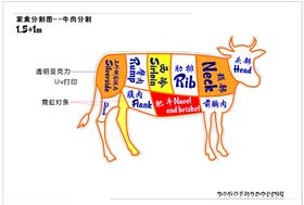 牛肉分割图