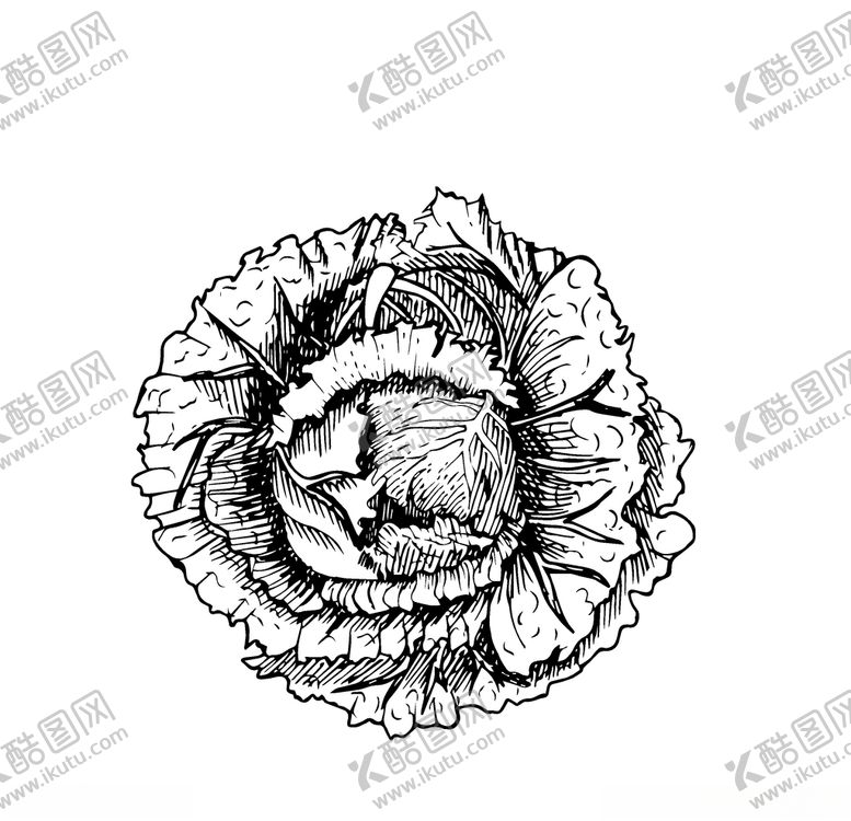 编号：96291410070418419237【酷图网】源文件下载-蔬菜