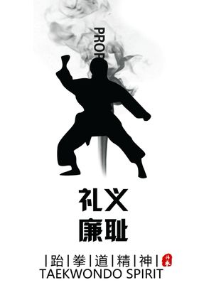 跆拳道展板