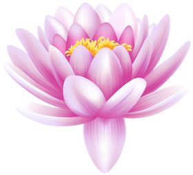 莲花