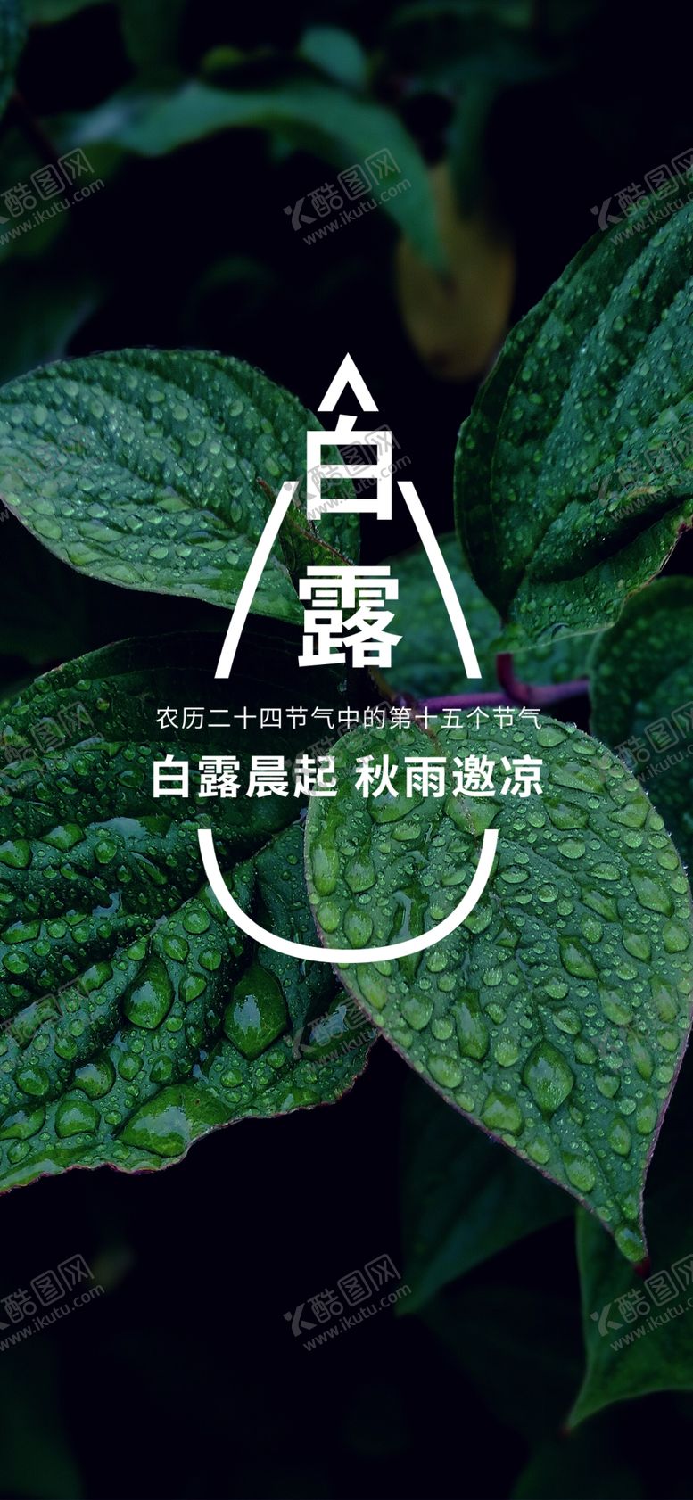 编号：95747909300313569879【酷图网】源文件下载-白露