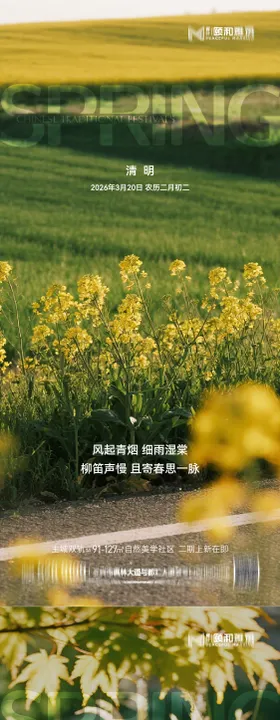 清明节气海报二十四春天