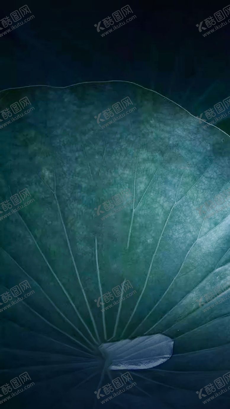 编号：41058907091011488270【酷图网】源文件下载-夏至