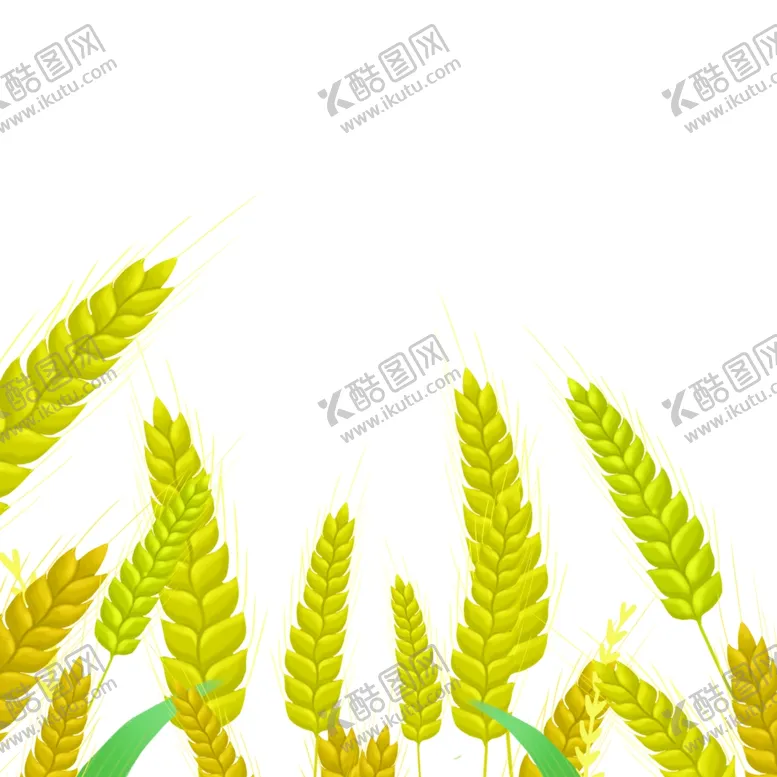 编号：45623002150352222754【酷图网】源文件下载-插画小满麦子植物元素