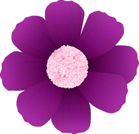 写实花卉唯美彩色插画植物
