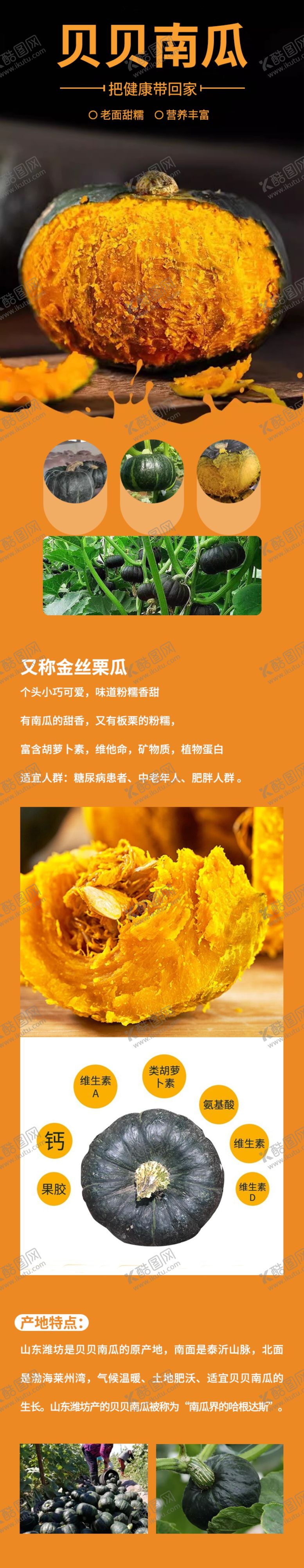 编号：57401001260341014175【酷图网】源文件下载-贝贝南瓜