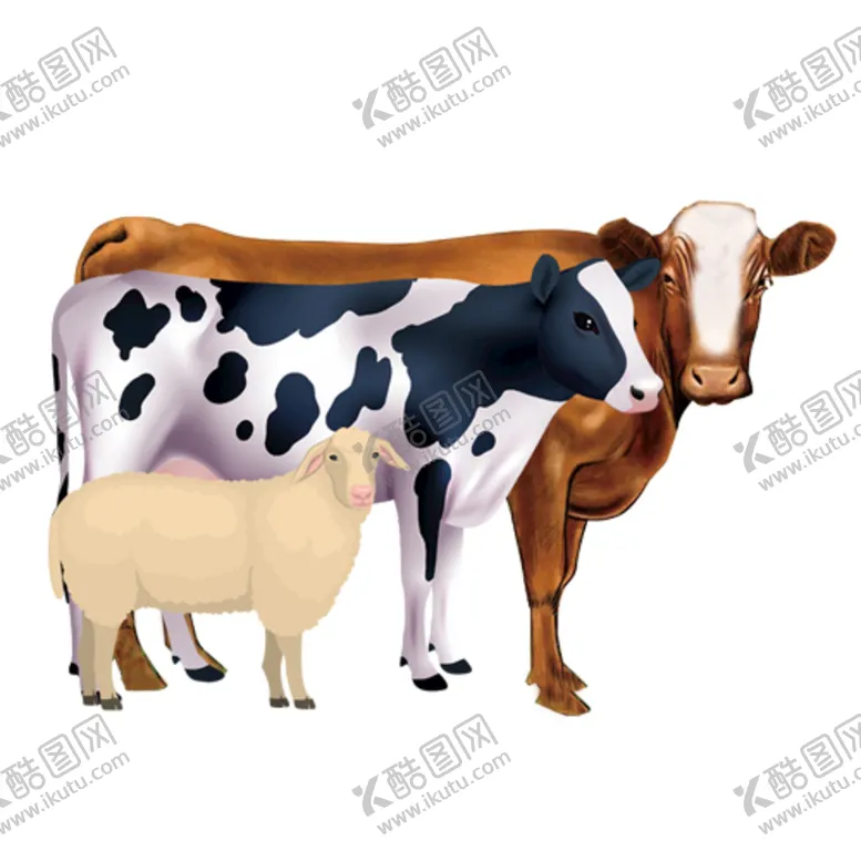 编号：46935109162134276230【酷图网】源文件下载-合成免扣肉牛奶牛羊