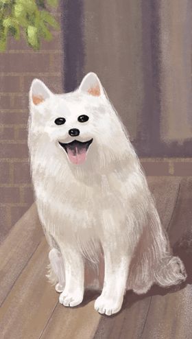 手绘狗