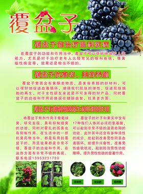 覆盆子图片