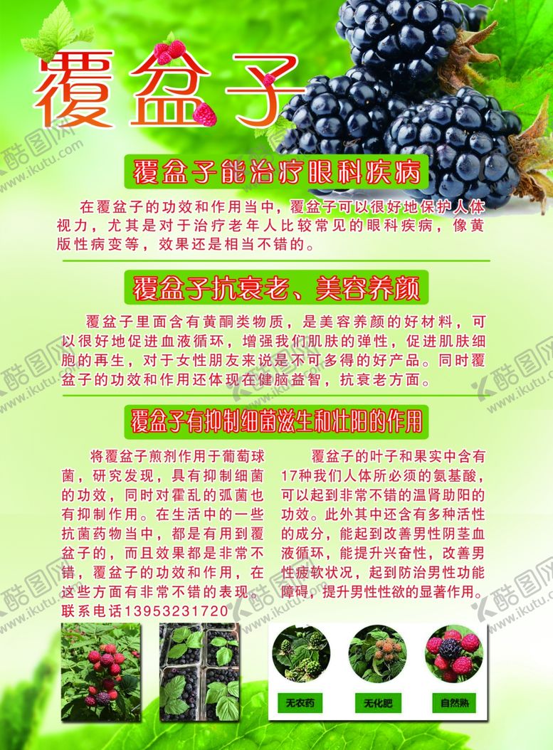 编号：70446509201123095710【酷图网】源文件下载-覆盆子