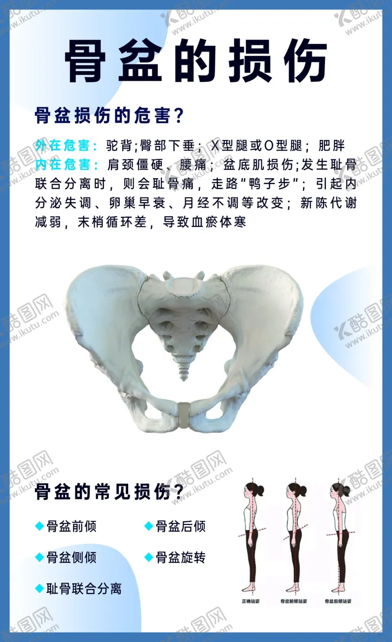 编号：96093201271117542667【酷图网】源文件下载-骨盆修复
