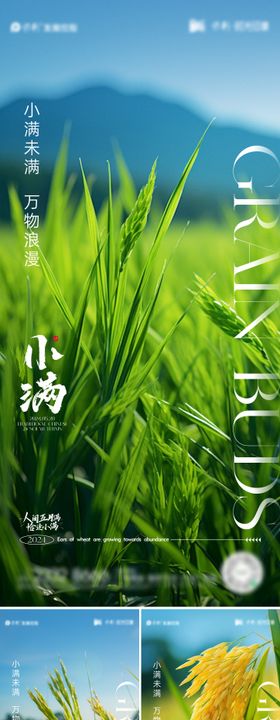小满节气海报稻田地产二十四