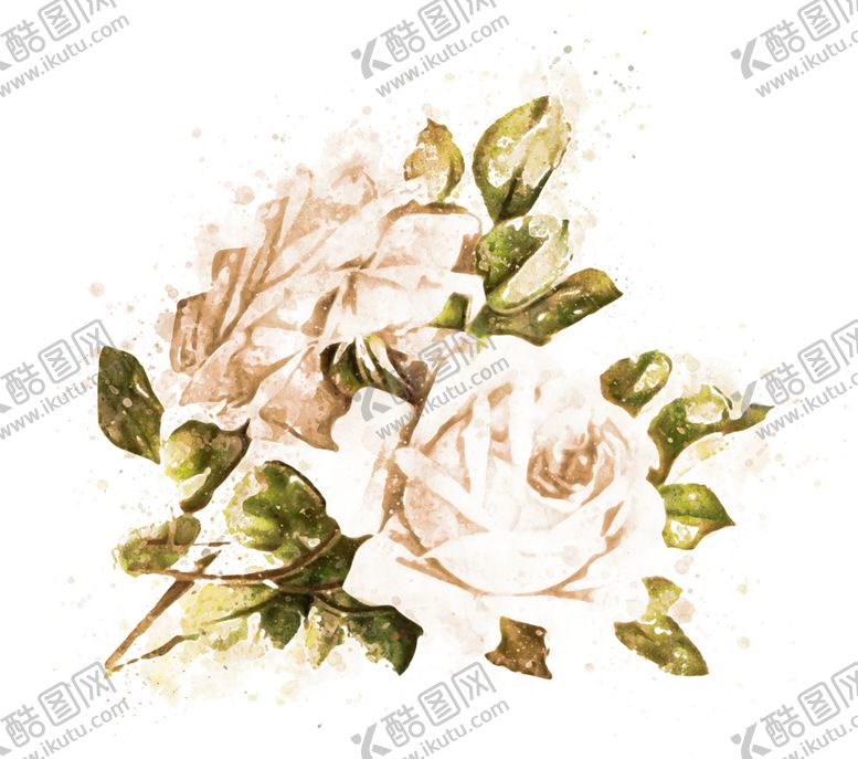 编号：27552106190533329764【酷图网】源文件下载-手绘花卉