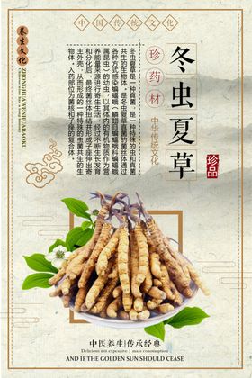 中医中药文化展板