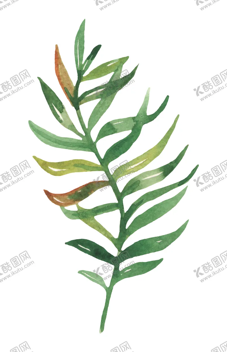 编号：66738706250056105894【酷图网】源文件下载-水彩植物花朵图案