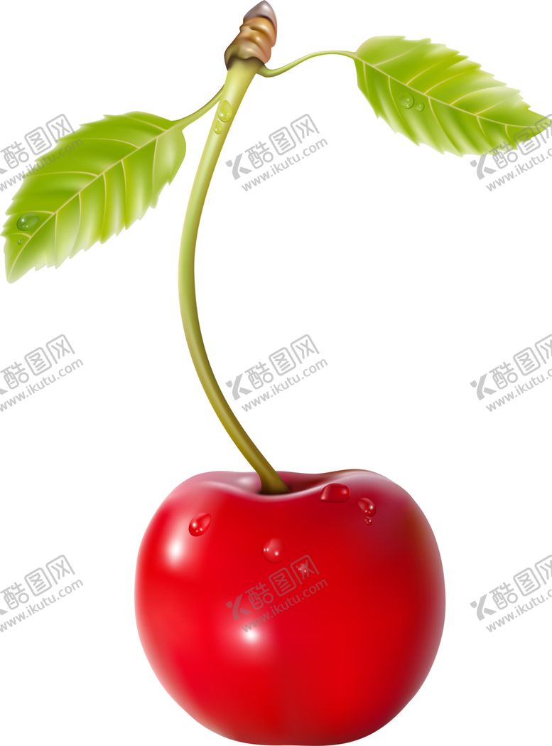 编号：88213001140758049835【酷图网】源文件下载-樱桃png素材