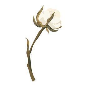 森系花枝