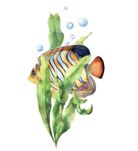 海洋主题插画图案