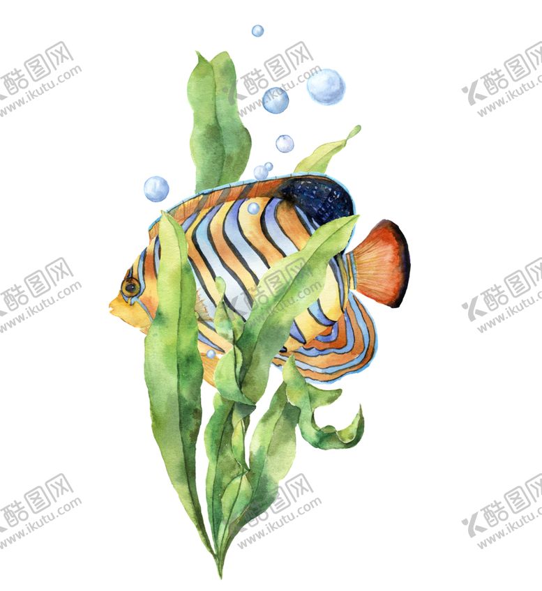 编号：59045509222341394760【酷图网】源文件下载-海洋主题插画图案