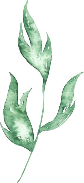海报元素花草元素展架元素