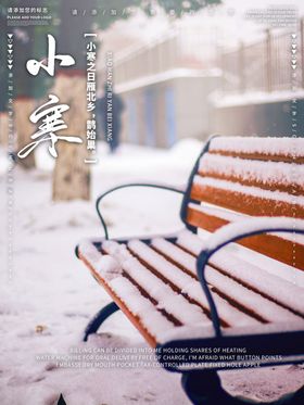 中国传统节气小寒宣传海报