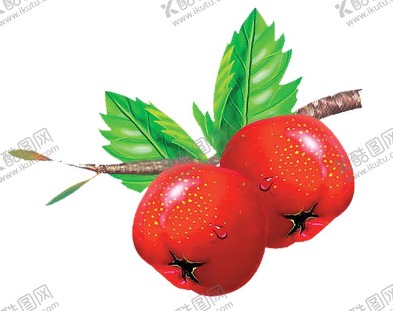 编号：39452410071131079713【酷图网】源文件下载-水果