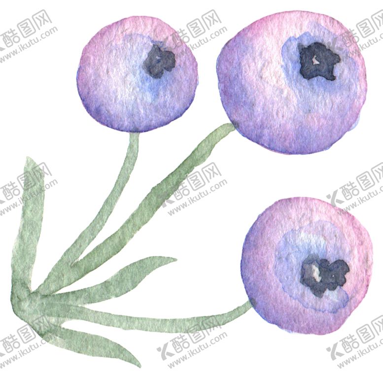 编号：12737110050550319524【酷图网】源文件下载-水彩植物