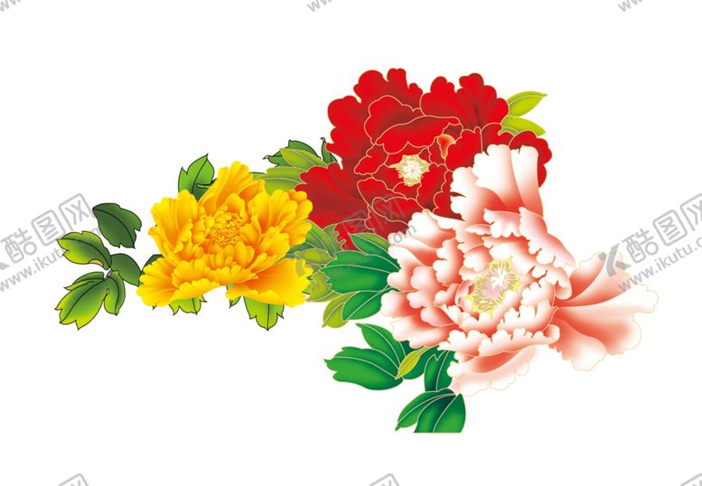 编号：52074506261450112036【酷图网】源文件下载-牡丹花