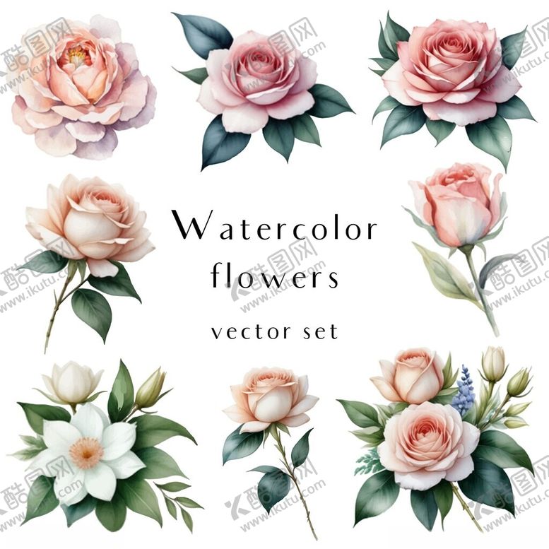 编号：51616011180156466734【酷图网】源文件下载-水彩花卉矢量图素材集
