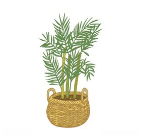 植物线条