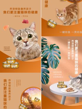 猫粮猫咪宠物系列海报