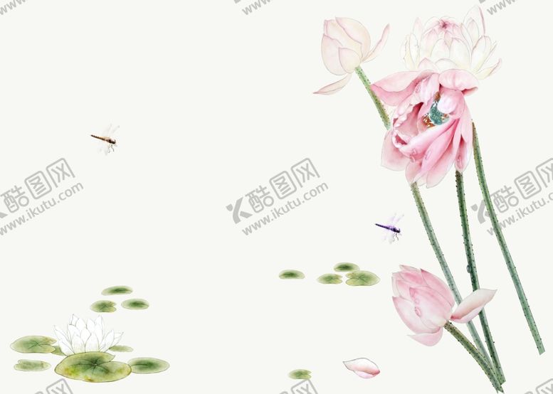 编号：21492610101617168587【酷图网】源文件下载-荷花