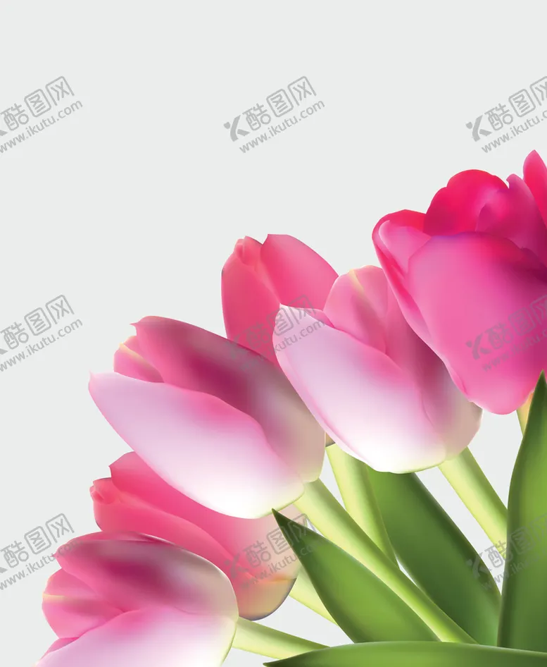 编号：76253109290054574680【酷图网】源文件下载-卡通郁金香