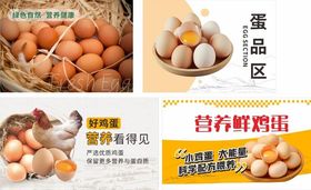 鲜鸡蛋板