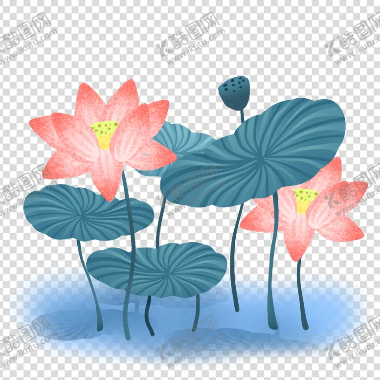 编号：42068910061703570674【酷图网】源文件下载-荷花 莲花 
