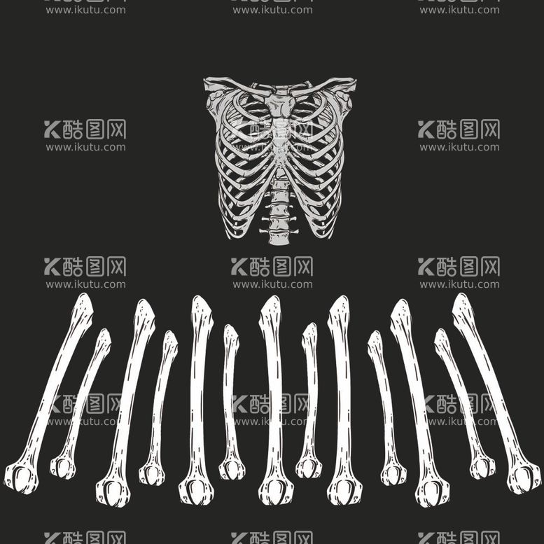 编号：31445812031807527008【酷图网】源文件下载-骷髅头万圣节