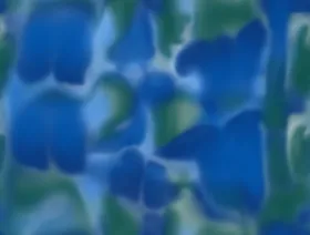 扎染花