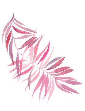 花卉