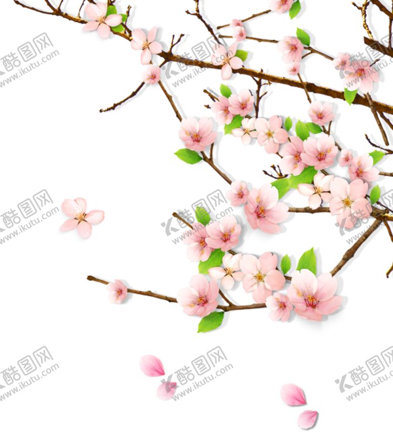 编号：82673110041319389276【酷图网】源文件下载-桃花花枝装饰背景海报素材