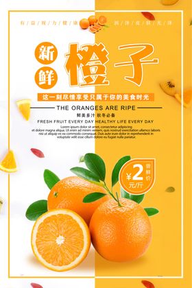 橙子海报
