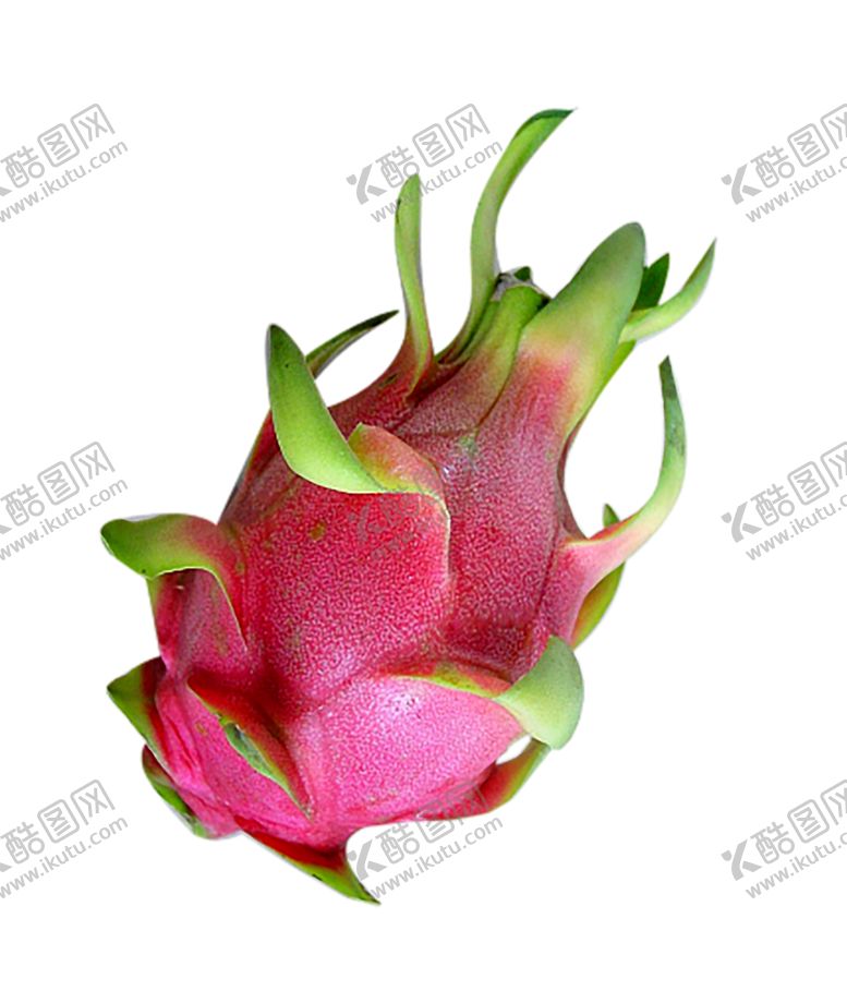 编号：23755309091712562513【酷图网】源文件下载-水果