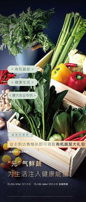 农业新鲜蔬菜刷屏海报
