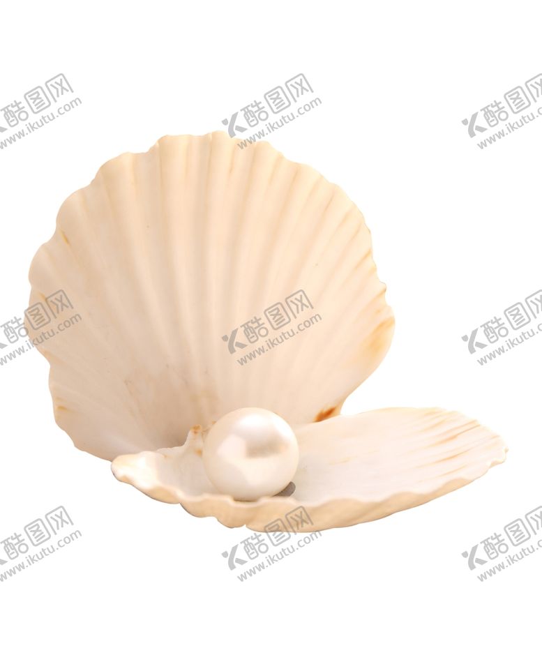 编号：64446210190221319463【酷图网】源文件下载-贝壳