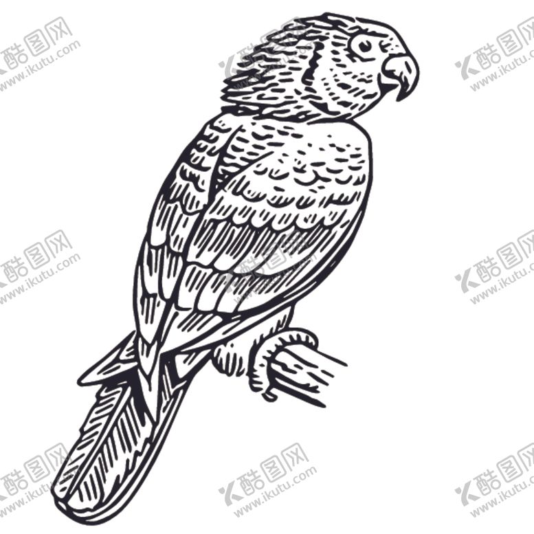 编号：88837410062249208812【酷图网】源文件下载-飞鸟线稿绘画图案
