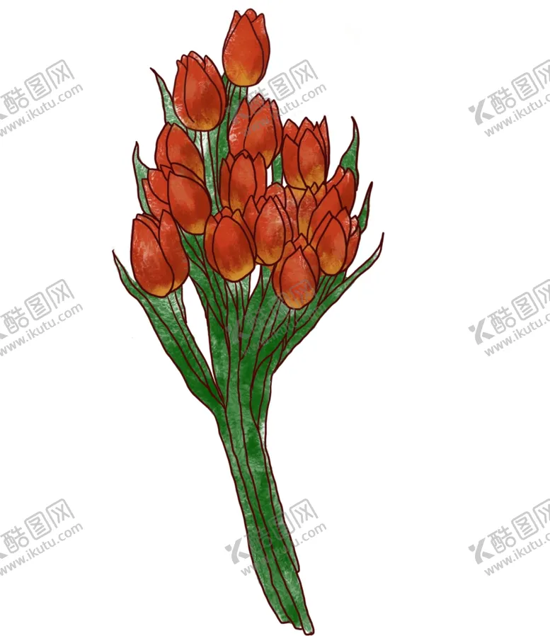 编号：78860606281325065387【酷图网】源文件下载-郁金香花