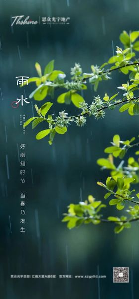 雨水海报刷屏