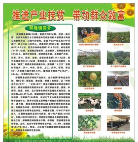 推动产业扶贫带动群众致富